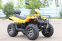 Квадроцикл IRBIS (Ирбис) ATV200 Premium+лебедка, литые диски (ПСМ)