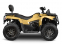 Квадроцикл IRBIS TA-F300 EFI 4*4 23 л.с.